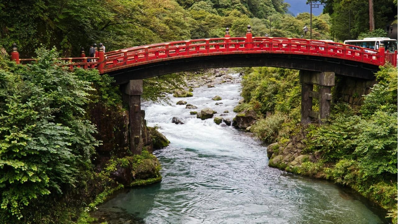 Tokyo & Nikko Heritage 2-Day Tour By Car With Pick-Up image 3 Tokyo & Nikko Heritage 2-Day Tour By Car With Pick-Up image 3