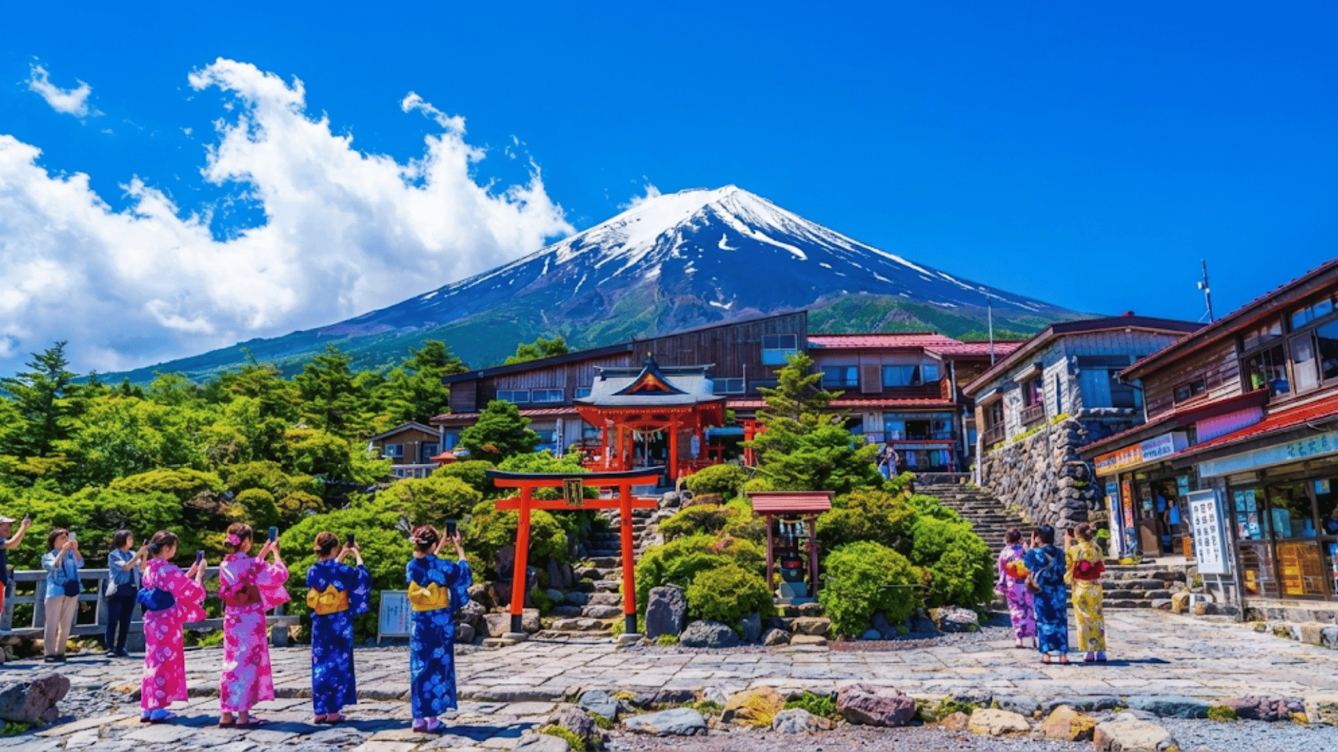 Mount Fuji Private Tour from Tokyo by Car with Pickup — private tour in Japan